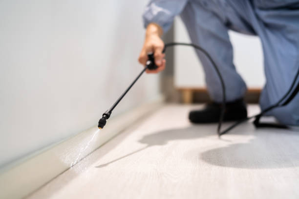 Licensed Fumigation Services service in East Pepperell, MA - Nex Pest Control