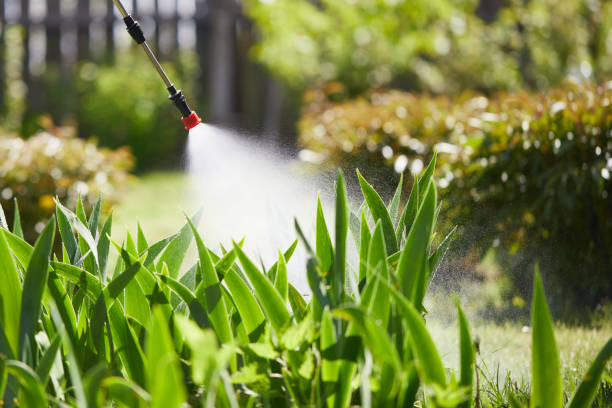 24/7 Emergency Fumigation Services experts in East Pepperell, MA