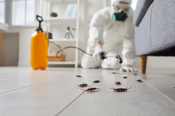 Trusted Fumigation Services service in East Pepperell, MA - Nex Pest Control