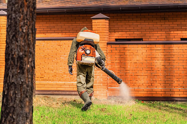 Trusted Emergency Pest Control service in East Pepperell, MA - Nex Pest Control